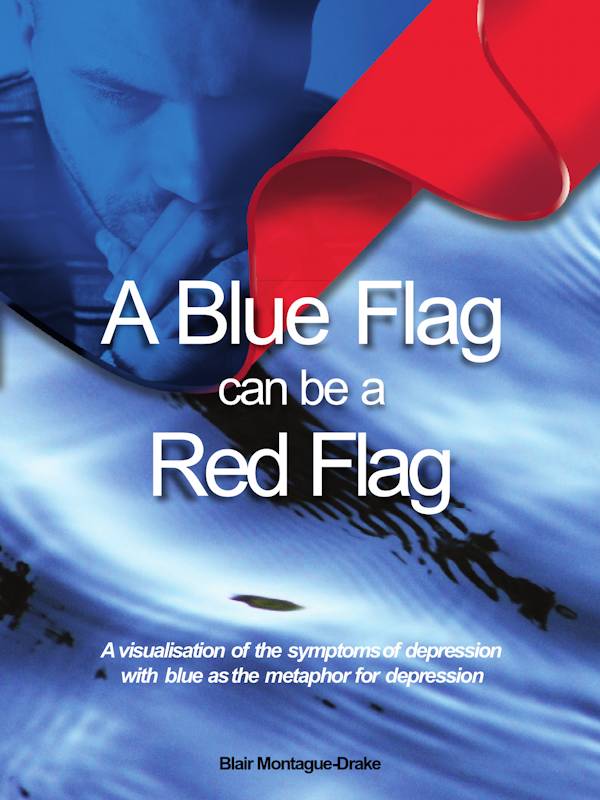 Blue Flag/Red Flag Book Cover
